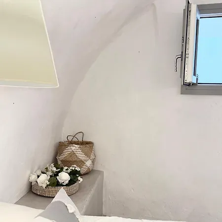 Sepal * Fira (Santorini)